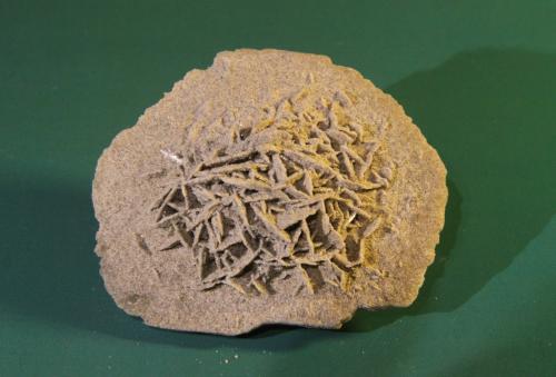 Gypsum<br />Gypsum outcrop, Baza, Comarca Baza, Granada, Andalusia, Spain<br />68mm x 59mm x 32mm<br /> (Author: franjungle)