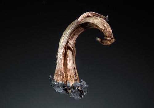 Silver<br />Fresnillo de González Echeverría (Fresnillo), Municipio Fresnillo, Zacatecas, México<br />1.0 x 2.1 cm<br /> (Author: crosstimber)