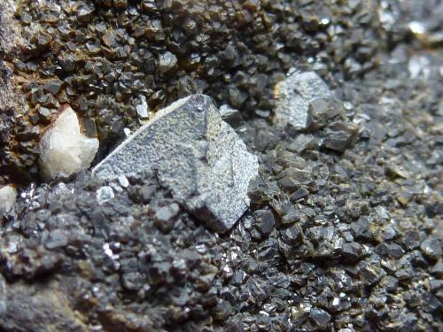 Galena, Esfalerita y Dolomita<br />Minas de Mercadal, Cartes, Comarca Besaya, Cantabria, España<br />6 x 4 cm.<br /> (Autor: javier ruiz martin)