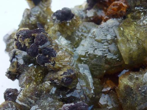 Adamita (variedad cuprifera) con Calcofanita<br />Ojuela Mine, Mapimí, Municipio Mapimí, Durango, Mexico<br />6 x 5 cm.<br /> (Autor: javier ruiz martin)