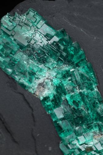 Beryl (variety emerald)<br />Gachalá mining district, Matecaña Mine, Municipio Gachalá, Eastern Emerald Belt, Cundinamarca Department, Colombia<br />90x57x49mm<br /> (Author: Fiebre Verde)