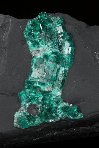 Beryl (variety emerald)<br />Gachalá mining district, Matecaña Mine, Municipio Gachalá, Eastern Emerald Belt, Cundinamarca Department, Colombia<br />90x57x49mm<br /> (Author: Fiebre Verde)