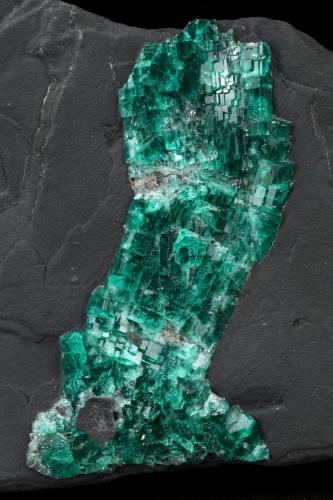 Beryl (variety emerald)<br />Gachalá mining district, Matecaña Mine, Municipio Gachalá, Eastern Emerald Belt, Cundinamarca Department, Colombia<br />90x57x49mm<br /> (Author: Fiebre Verde)