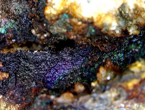 Goethita.<br />Afloramientos Adra, Adra , Comarca Poniente Almeriense, Almería, Andalucía, España<br />4´933 x 3´407 mm.<br /> (Autor: Jesus Franquesa Baucells)