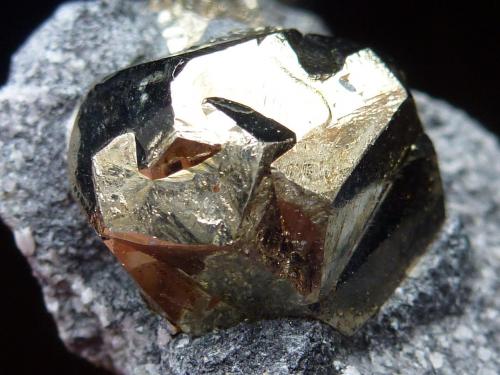 Pirita en Talco<br />Respina Mine, Fuentes de Respina, Puebla de Lillo, Comarca Valle de Boñar, León, Castile and León, Spain<br />1,5 x 1,5 cm. la Pirita<br /> (Autor: javier ruiz martin)