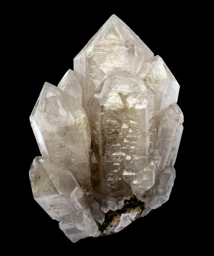 Quartz<br />Dalnegorsk, Distrito urbano Dalnegorsk, Primorsky Krai, Rusia<br />Specimen height 14 cm, largest crystal 12 cm<br /> (Author: Tobi)