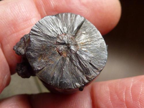 Goethita<br />La Arboleda Mines, La Arboleda (Zugaztieta), Valle de Trápaga/Trapagaran, Comarca Gran Bilbao, Vizcaya / Bizkaia, Basque Country (Euskadi), Spain<br />4,5 x 1,5 cm.<br /> (Autor: javier ruiz martin)