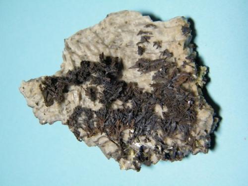 Copper on Dolomite<br />Mina Tsumeb, Tsumeb, Región Otjikoto, Namibia<br />61mm x 52mm x 12mm<br /> (Author: Heimo Hellwig)