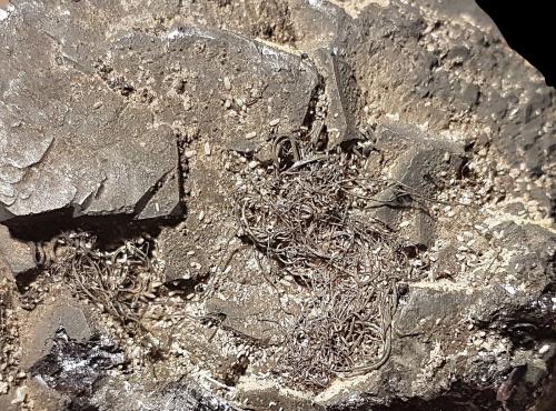 Plata<br />Minas de El Horcajo, El Horcajo, Almodóvar del Campo, Comarca Campo de Calatrava, Ciudad Real, Castilla-La Mancha, España<br />6,7x5x3,5 cm.<br /> (Autor: Nacho)