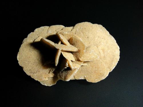Yeso<br />Chott el Djerid, Entre Tozeur y Douz, Gobernación de Kibili, Grand Erg Oriental, Túnez<br />6 x 5 cm.<br /> (Autor: Antonio P. López)