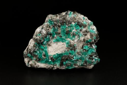 Beryl (variety emerald), Pyrite, Calcite, Albite (variety cleavelandite)<br />Chivor mining district, Municipio Chivor, Eastern Emerald Belt, Boyacá Department, Colombia<br />58x43x34mm, aggregate of xls up to 11mm<br /> (Author: Fiebre Verde)