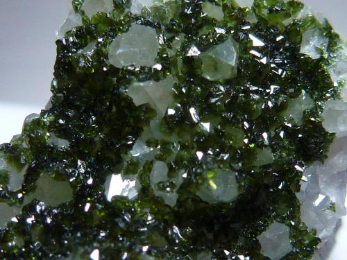 Libethenita en Cuarzo<br />Miguel Vacas Mine, Pardais and Conceição Parish, Vila Viçosa, Évora District, Alentejo Central Province, Alentejo Region, Portugal<br />1,5 x 1,5 cm.<br /> (Autor: javier ruiz martin)