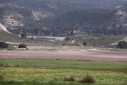 The Camarillas reservoir. (Author: franjungle)