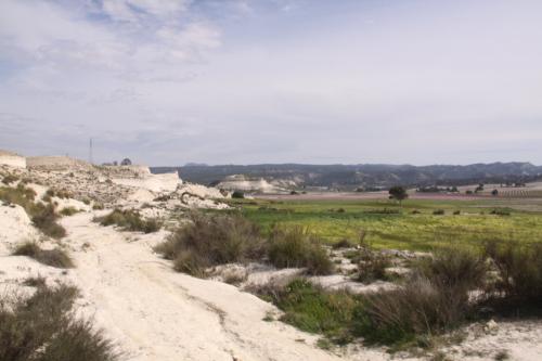 March 2013.
Opal outcrop, Camarillas reservoir, Agramón, Hellín, Comarca Campos de Hellín, Albacete, Castilla-La Mancha, Spain (Author: franjungle)