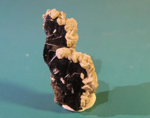 Ferberite, Siderite<br />Minas da Panasqueira, Aldeia de São Francisco de Assis, Covilhã, Castelo Branco, Cova da Beira, Centro, Portugal<br />33mm x 55mm x 14mm<br /> (Author: franjungle)