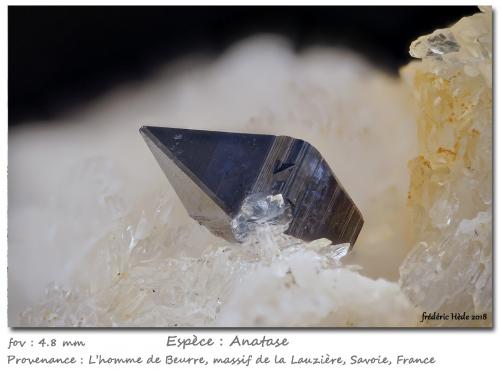 Anatase on Quartz<br />L'Homme de Beurre, Macizo La Lauzière, Saint-Jean-de-Maurienne, Saboya, Auvergne-Rhône-Alpes, Francia<br />fov 4.8 mm<br /> (Author: ploum)