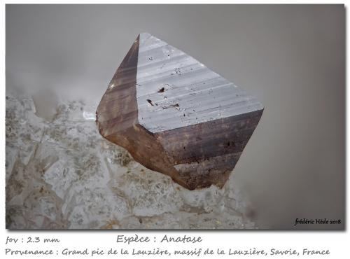 Anatase on Quartz<br />Grand Pic de la Lauzière, Macizo La Lauzière, Saint-Jean-de-Maurienne, Saboya, Auvergne-Rhône-Alpes, Francia<br />fov 2.3 mm<br /> (Author: ploum)