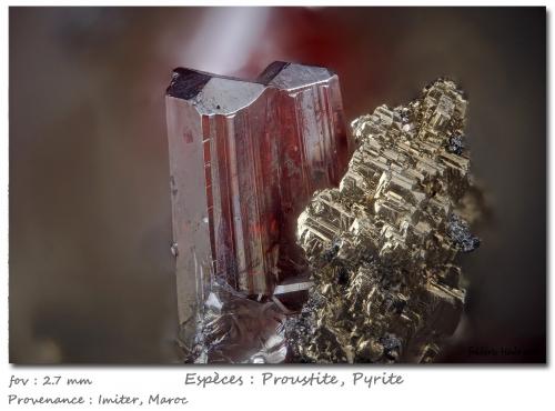 Proustite with Pyrite<br />Imiter Mine, Jebel Saghro, Imiter District, Tinghir Province, Drâa-Tafilalet Region, Morocco<br />fov 2.3 mm<br /> (Author: ploum)