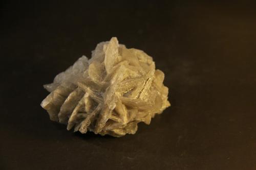 Gypsum<br />Villalbilla, Comarca Cuenca del Henares, Community of Madrid, Spain<br />50mm x 32mm x 40mm<br /> (Author: franjungle)