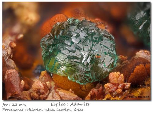 Adamite<br />Mina Hilarion, Zona Hilarion, Minas Kamariza, Agios Konstantinos, Distrito minero Lavrion, Prefectura Attikí (Attica), Grecia<br />fov 2.3 mm<br /> (Author: ploum)