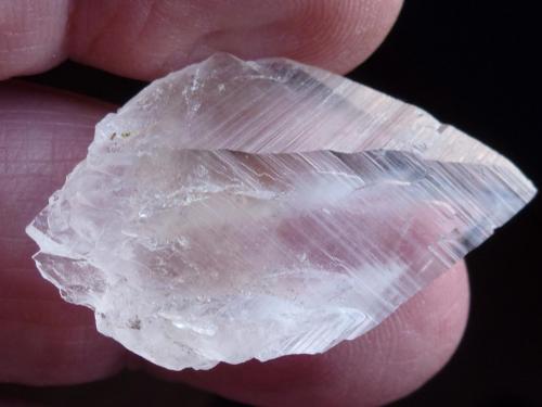 Glauberita<br />Consuelo Mine, Chinchón, Comarca Las Vegas, Community of Madrid, Spain<br />4 x 2,5 cm.<br /> (Autor: javier ruiz martin)