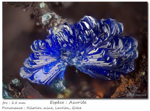 Azurite<br />Hilarion Mine, Hilarion area, Kamariza Mines, Agios Konstantinos, Lavrion Mining District, Attikí (Attica) Prefecture, Greece<br />fov 2.5 mm<br /> (Author: ploum)