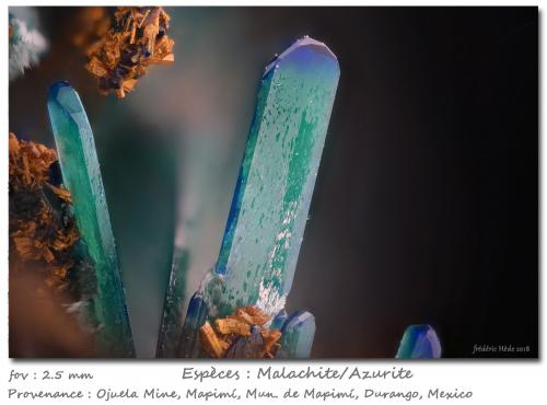 Azurite<br />Ojuela Mine, Mapimí, Municipio Mapimí, Durango, Mexico<br />fov 2.5 mm<br /> (Author: ploum)