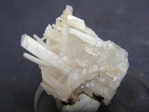 Cerussite<br />Tsumeb Mine, Tsumeb, Otjikoto Region, Namibia<br />23mm x 20mm x 6mm<br /> (Author: Heimo Hellwig)