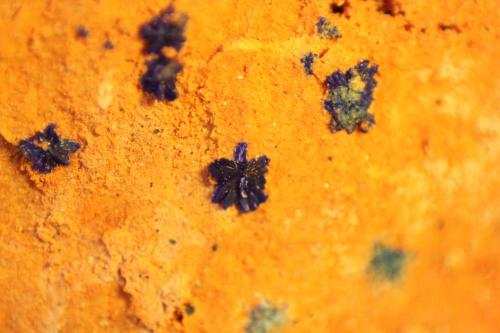 Azurite<br />Reformada Mine, El Pinar de Bédar, Bédar, Comarca Levante Almeriense, Almería, Andalusia, Spain<br />FOV 11 mm<br /> (Author: franjungle)