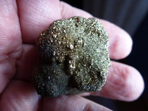 Pirita<br />Eguibil Quarry, Eguibil, Olazagutía (Olazti), Comarca Barranca, Chartered Community of Navarre (Navarre), Spain<br />4 x 4 cm.<br /> (Autor: javier ruiz martin)