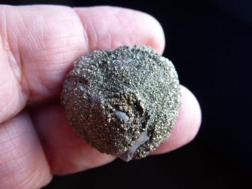 Marcasita<br />Eguibil Quarry, Eguibil, Olazagutía (Olazti), Comarca Barranca, Chartered Community of Navarre (Navarre), Spain<br />3 x 3 cm.<br /> (Autor: javier ruiz martin)