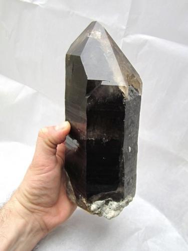 Quartz (variety smoky)<br />Zinggenstöcke, Oberaar Lake area, Grimsel area, Hasli Valley, Bern, Switzerland<br />Specimen height 20 cm<br /> (Author: Tobi)