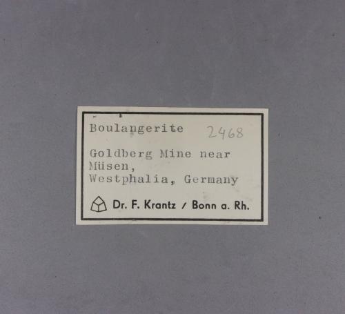 _Boulangerita, etiqueta original Krantz.<br />Mina Glanzenberg, Silberg, Kirchhundem, Olpe, Sauerland, Renania del Norte-Westfalia/Nordrhein-Westfalen, Alemania<br />7,7 x 5,6 x 3 cm.<br /> (Autor: J. G. Alcolea)