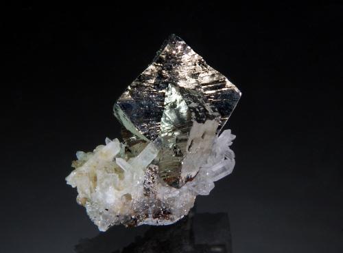 Arsenopyrite<br />Dalnegorsk, Distrito urbano Dalnegorsk, Primorsky Krai, Rusia<br />2.2 x 2.1 cm<br /> (Author: crosstimber)