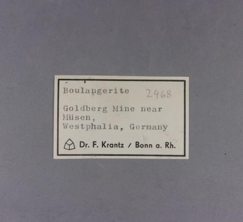 _Boulangerite, original label.<br />Mina Glanzenberg, Silberg, Kirchhundem, Olpe, Sauerland, Renania del Norte-Westfalia/Nordrhein-Westfalen, Alemania<br />7,7 x 5,6 x 3 cm.<br /> (Author: J. G. Alcolea)