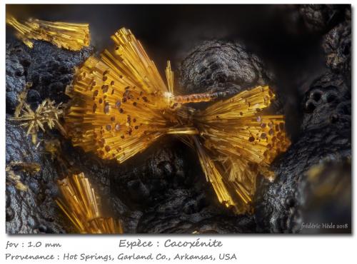 Cacoxenite<br />Hot Springs, Garland County, Arkansas, USA<br />fov 1 mm<br /> (Author: ploum)