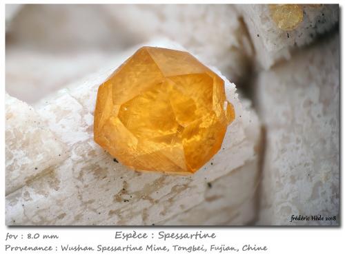 Spessartine<br />Wushan Spessartine prospects, Tongbei, Yunxiao, Zhangzhou Prefecture, Fujian Province, China<br />fov 8 mm<br /> (Author: ploum)