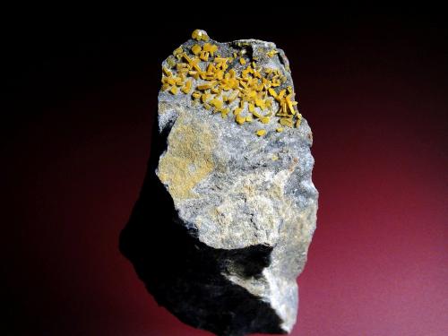 Wulfenita<br />Mina Lázaro, Tajo del Castillejo, Embalse de Quéntar, Quéntar, Comarca Vega de Granada, Granada, Andalucía, España<br />7 x 4 cm.<br /> (Autor: Antonio P. López)