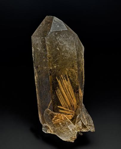 Quartz (variety smoky quartz), Rutile<br />Cascavel, Paraná, Brazil<br />12.5 x 5.6 cm<br /> (Author: am mizunaka)