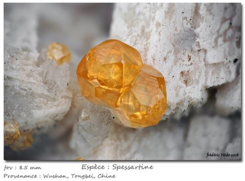 Spessartine<br />Catas Spessartina Wushan, Tongbei, Yunxiao, Prefectura Zhangzhou, Provincia Fujian, China<br />fov 8.5 mm<br /> (Author: ploum)