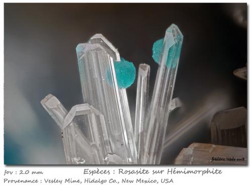 Rosasite and Hemimorphite<br />Mina Vesley, Granite Gap, Distrito San Simon, Condado Hidalgo, New Mexico, USA<br />fov 2 mm<br /> (Author: ploum)