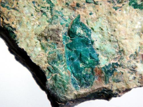 Faustita<br />Mina Copper King, Monte Schroeder, Subdistrito Maggie Creek, Carlin Trend, Condado Eureka, Nevada, USA<br />Campo de visión 3 cm.<br /> (Autor: Antonio P. López)