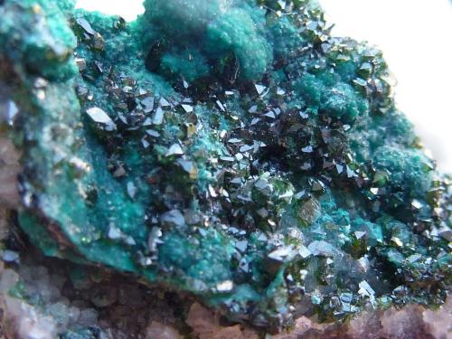 Libethenita sobre Pseudomalaquita<br />Miguel Vacas Mine, Pardais and Conceição Parish, Vila Viçosa, Évora District, Alentejo Central Province, Alentejo Region, Portugal<br />3 x 1,5 cm.<br /> (Autor: javier ruiz martin)