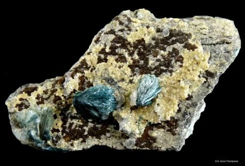 Gormanita<br />Zona Rapid Creek, distrito minero Dawson, Territorio Yukon, Canadá<br />50x30 mm.<br /> (Autor: Jesus Franquesa Baucells)