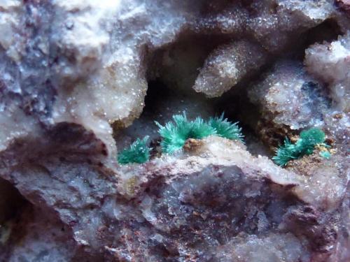 Malaquita en Cuarzo<br />Las Niñas Mine, Rodalquilar, Níjar, Comarca Metropolitana de Almería, Almería, Andalusia, Spain<br />0,2 cm.<br /> (Autor: javier ruiz martin)
