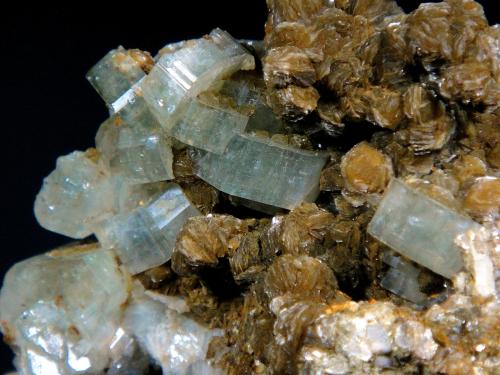 Fluorapatito<br />Minas da Panasqueira, Aldeia de São Francisco de Assis, Covilhã, Castelo Branco, Cova da Beira, Centro, Portugal<br />Cristales de 1 cm.<br /> (Autor: Antonio P. López)