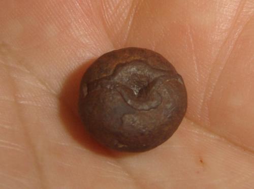 Goethita<br />Luanda, Formiga, Minas Gerais, Brazil<br />1,2 x 1,2 x 0,8 cm<br /> (Autor: Anisio Claudio)