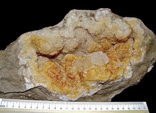 Calcite on Dolomite<br />Condado Washington, Indiana, USA<br />Oval geode is 20  cm. Calcites are up to 2 cm<br /> (Author: Bob Harman)
