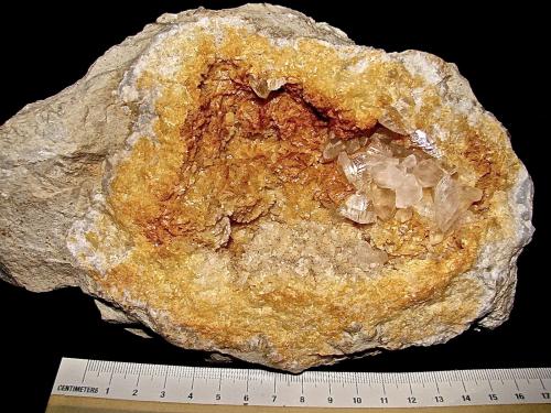 Calcite on Dolomite<br />Condado Washington, Indiana, USA<br />Oval example 16 cm x 12 cm. Calcites up to 1.3 cm<br /> (Author: Bob Harman)