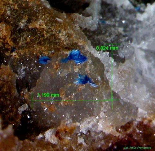 Linarita.<br />Sierra del Cabo de Gata, Níjar, Comarca Metropolitana de Almería, Almería, Andalucía, España<br />1´199 x 0´824 mm.<br /> (Autor: Jesus Franquesa Baucells)